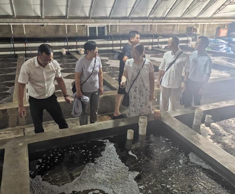 科技賦能，綠色養殖 福建科特派攜手霞浦企業推動海參產業鏈升級與室內環境治理